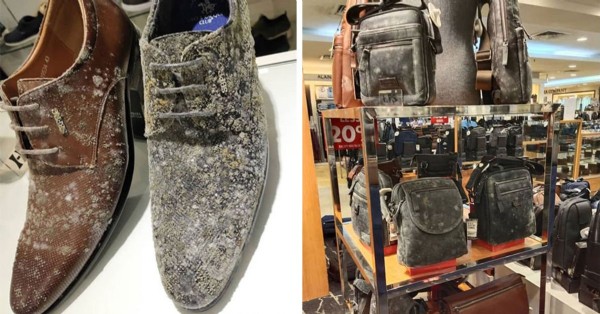 Aylarca kapalı olan mağazayı açtıklarında şoke oldular!